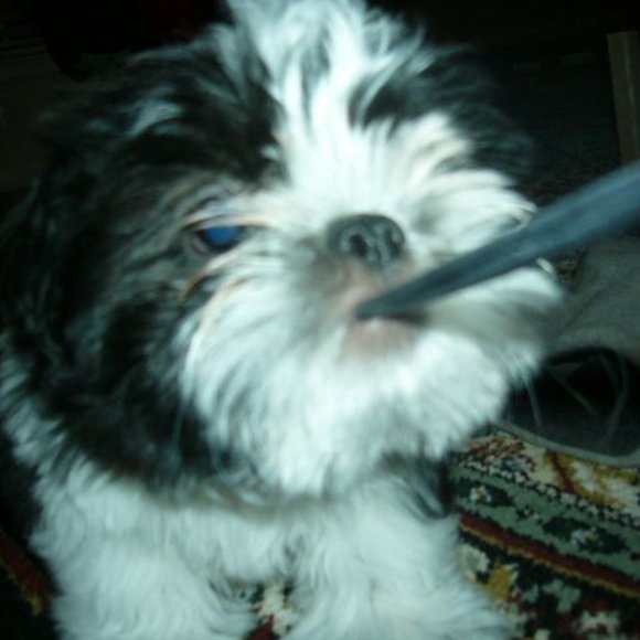 Meet your Posher, James - Picture 1 of 1